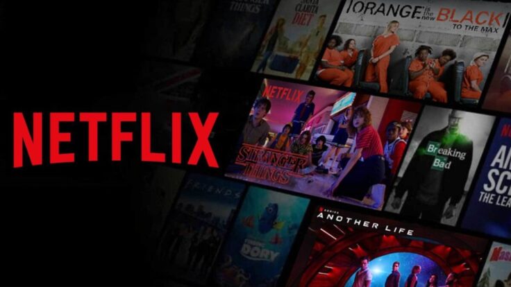 Cómo activar la transferencia de perfiles Netflix