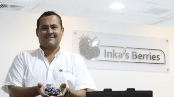 Inka's Berries