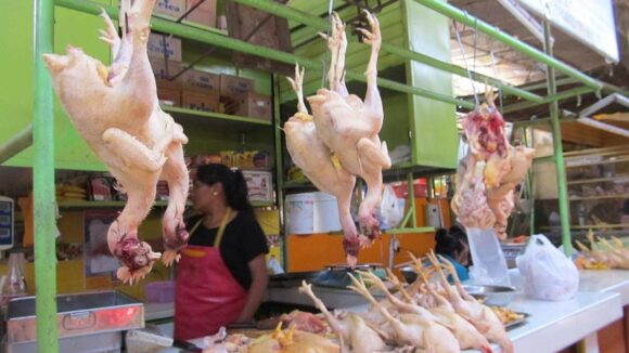 Precio del pollo hoy