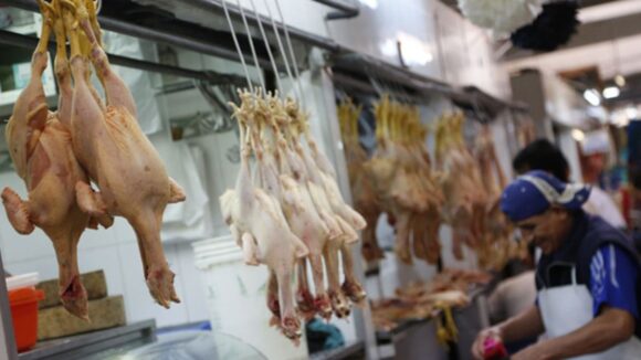 precio del pollo