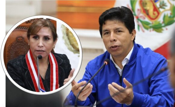 artículo 117 de la Constitución Política del Perú Pedro Castillo