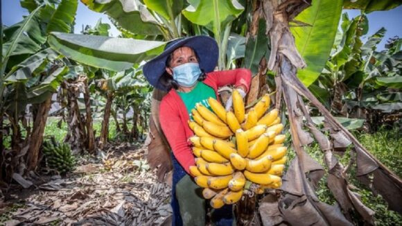 Agromujer