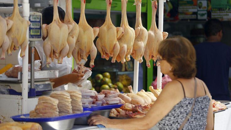 precio del pollo hoy cuánto cuesta el kilo