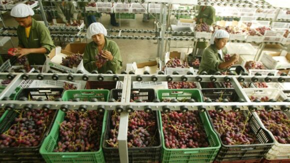 Agroexportadoras