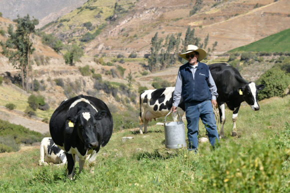 Con Punche Perú