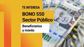 Bono 550 LINK Sector Público