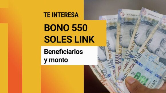 Bono de 550 soles LINK consulta con DNI diciembre