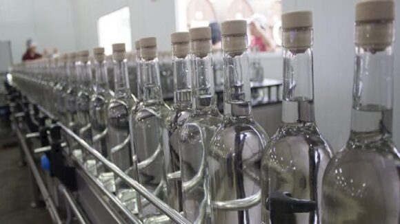 pisco