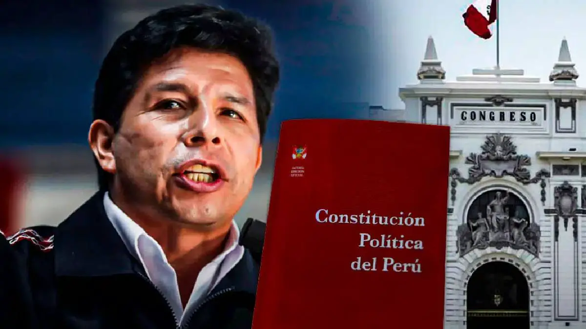 Qué dice el artículo 46 de la constitución política del Perú
