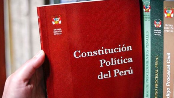 artículo 118