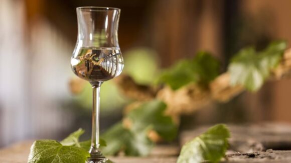 pisco