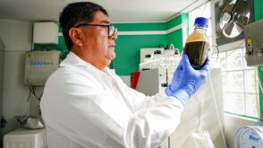 biofertilizante