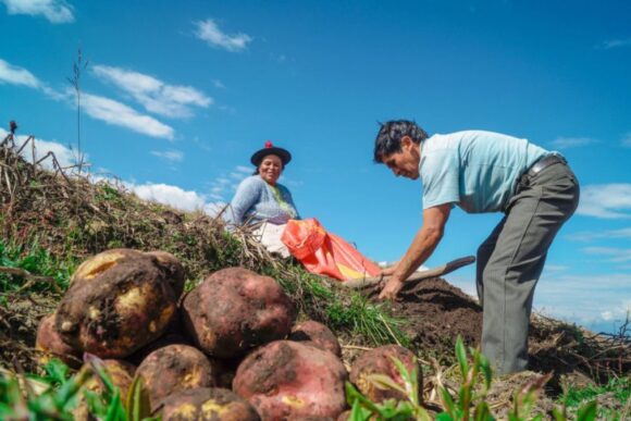Bono sequía 2023: ¿cómo acceder a este beneficio?
