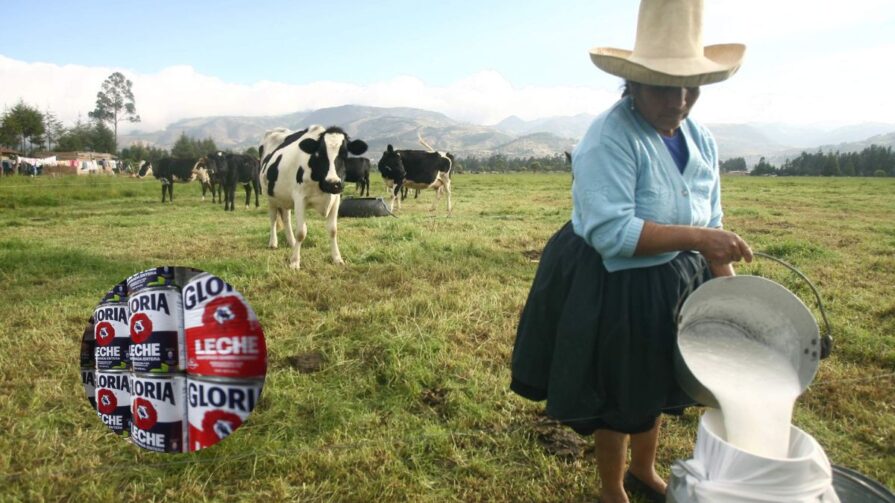 Gloria y ganaderos peruanos