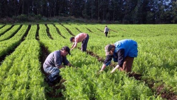 agrobanco