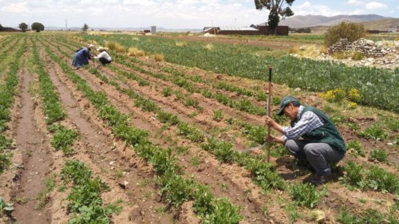 Agroexportaciones lluvias