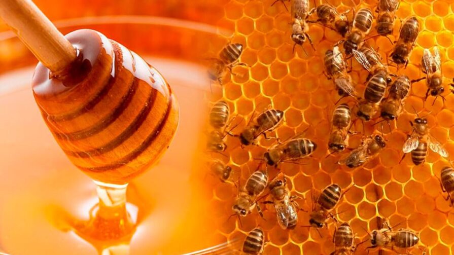 Producción de miel