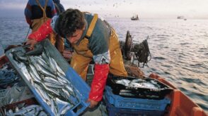 Bono Pescador Artesanal 2023: ¿Cuál es el Link de consulta?
