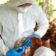 China reporta nuevo caso de gripe aviar H3N8 en humanos: ¿Hay riesgo de contagio?