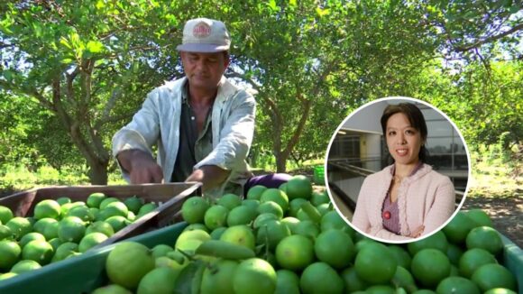 agricultura