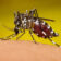 El dengue