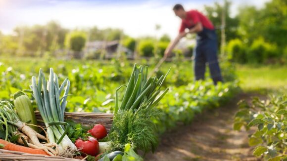 AgrofoodTech
