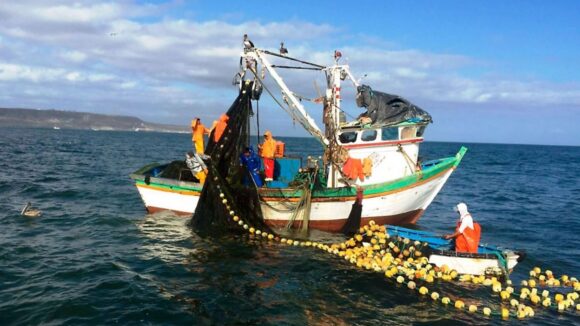 Desembarque pesquero