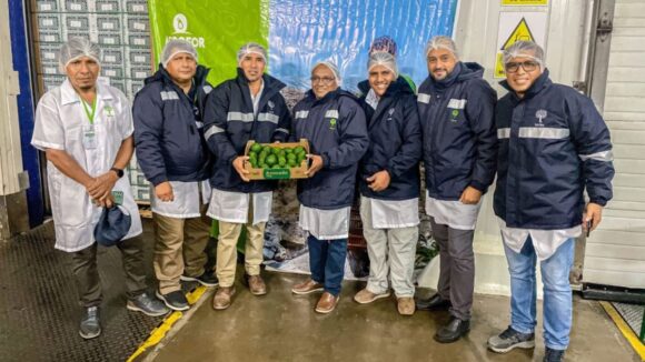 Palta Hass La Libertad