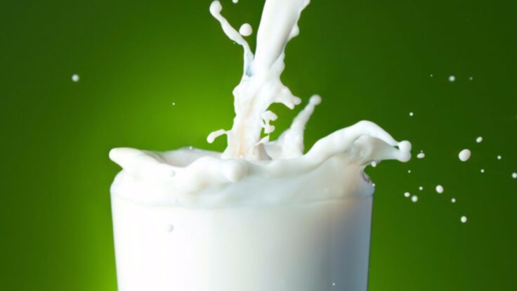 ¿Cuál es la leche envasada más natural del Perú?