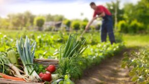 AgrofoodTech