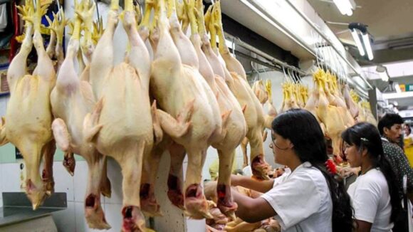 Bono del pollo de 25 soles: ¿Quiénes recibirán el nuevo vale del FISE?