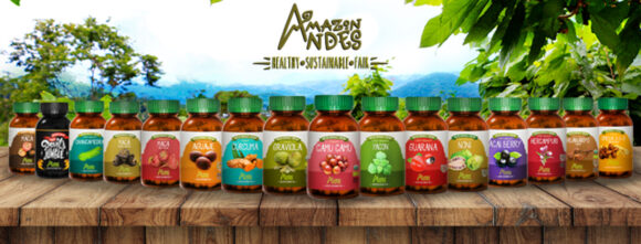 Amazon Andes