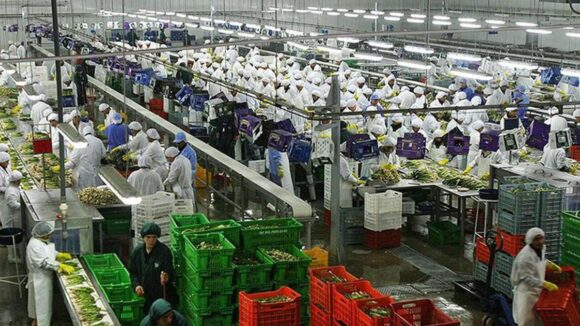 Agroexportaciones