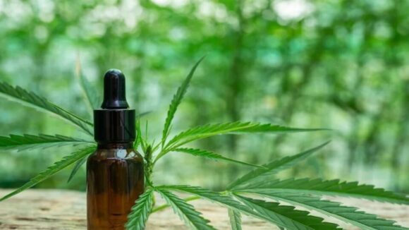 Derivados de cannabis