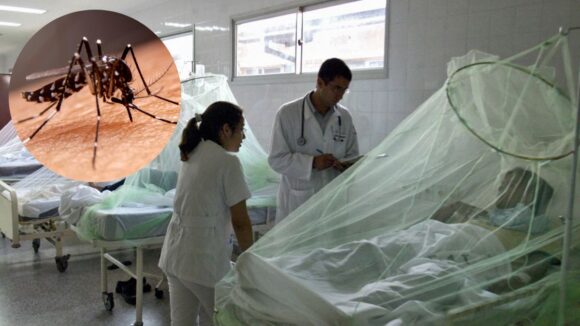Dengue en Piura: ¿Cuántos días de reposo debo tomar?