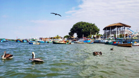 Puerto Pizarro Tumbes qué visitar cómo llegar