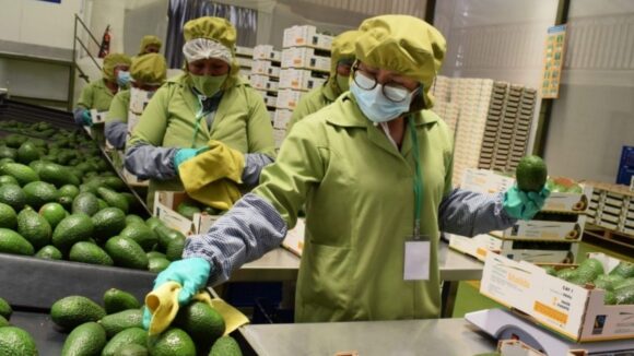 Agroexportaciones