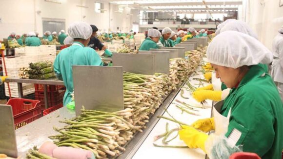 Empleo exportaciones