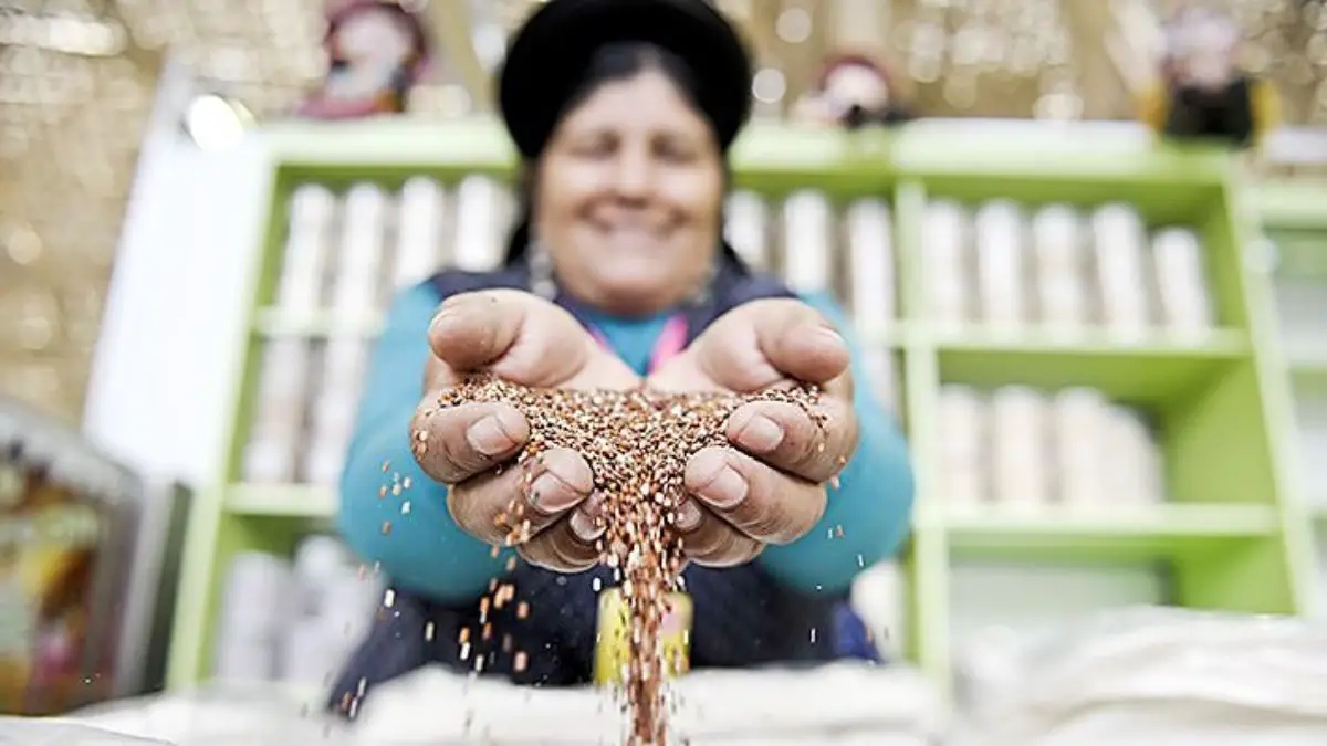 Granos Andinos: Productores Concretaron 200 Citas De Negocio