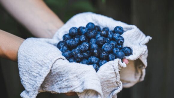 Inka's Berries