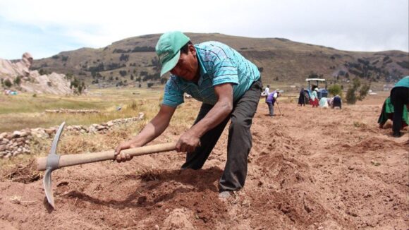 Campaña agrícola 2023-2024