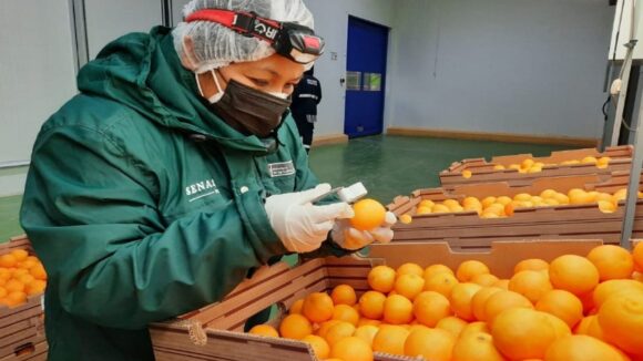 Exportaciones de cítricos
