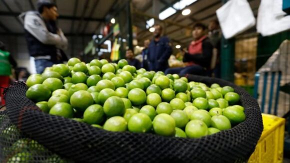 Precio del limón