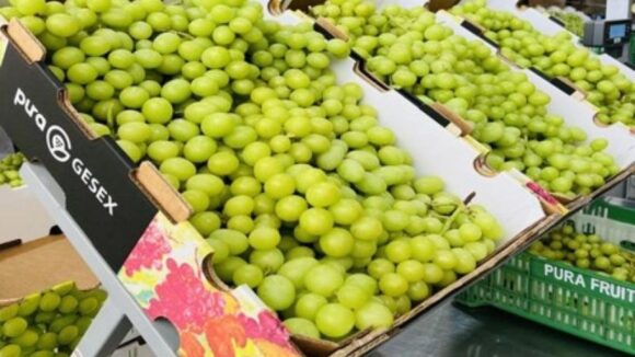 Pura Fruit