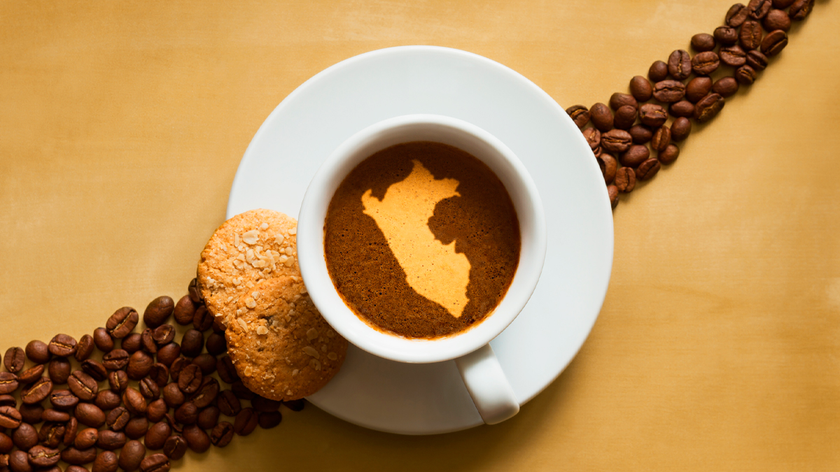 Día del café peruano ¿Cuáles son sus beneficios y cuántas tazas