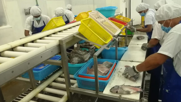 CITEpesquero Piura requisitos