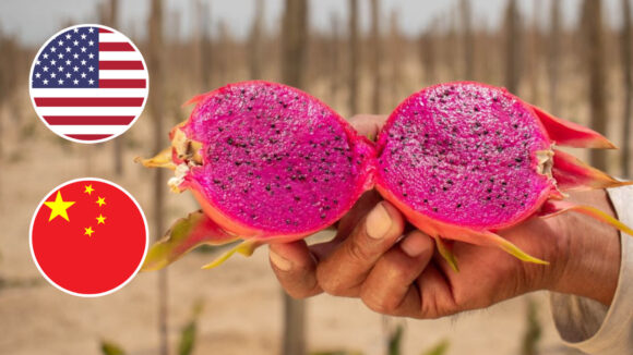 pitahaya china y estados unidos