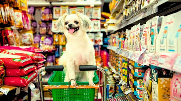 mercado de alimento para mascotas