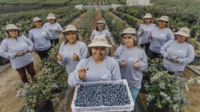 agroexportaciones peruanas