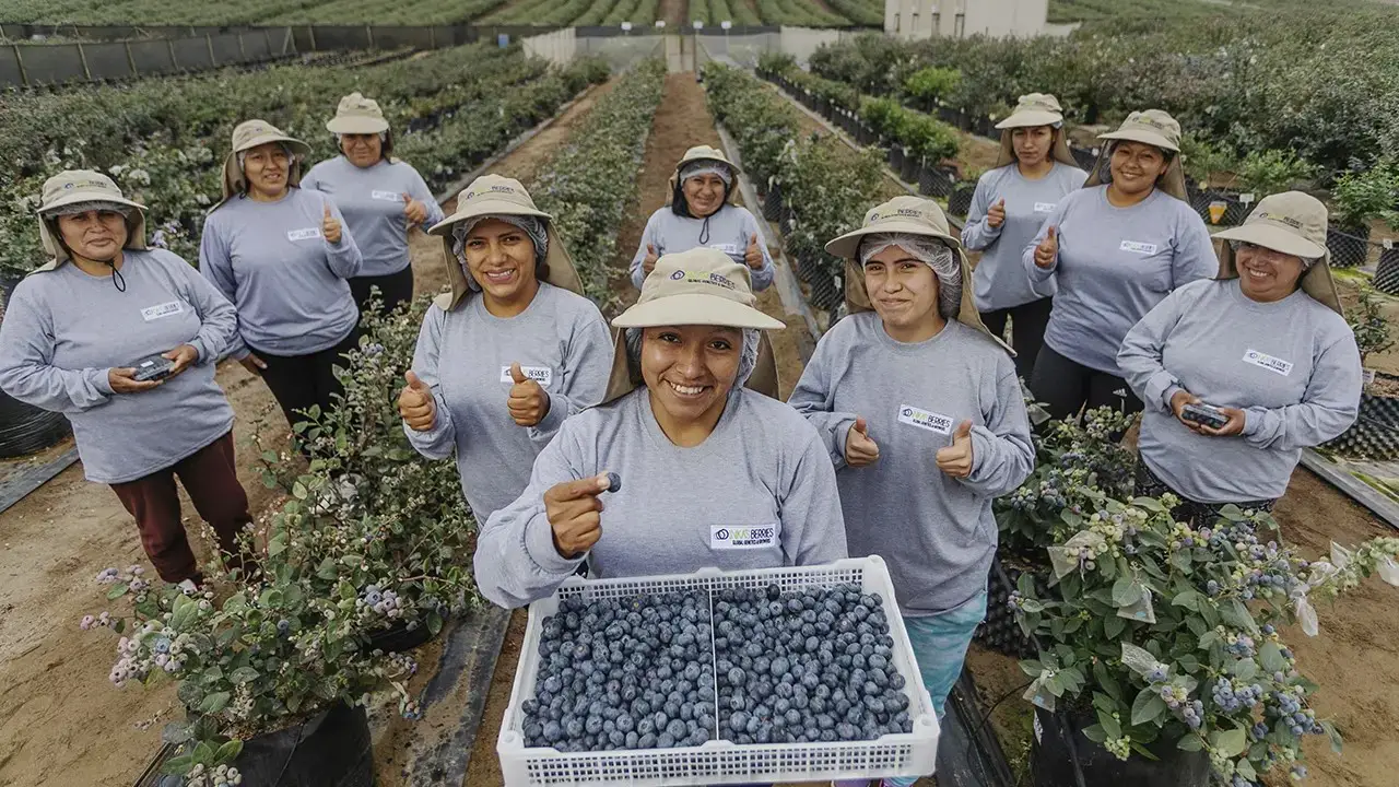 Histórico Agroexportaciones Peruanas Superan Los Us1000 Millones Por Primera Vez 1085